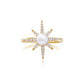 Ring - 'True North' Gold