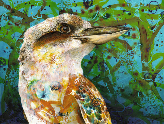 Kookaburra King