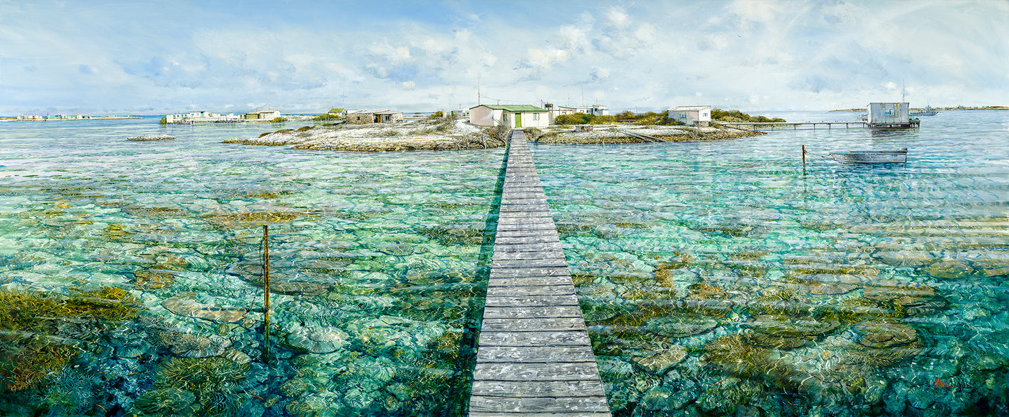 Mangrove Island, Abrolhos - Print