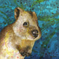 Quokka Print