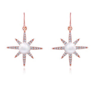 Earrings - North Star, Rose Gold Drop
