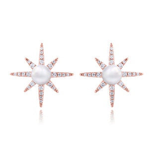 Earrings - North Star, Rose Gold Studs