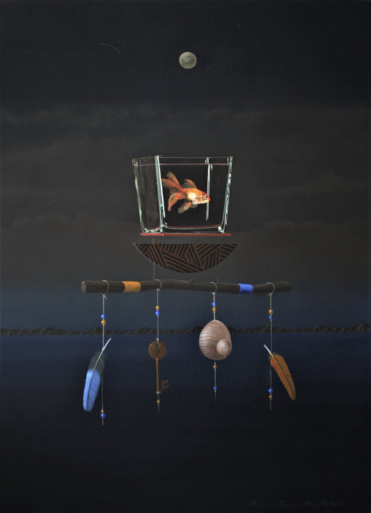 Night Flight Dreaming