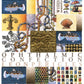 Ophthalmic Confection Exhibition Book