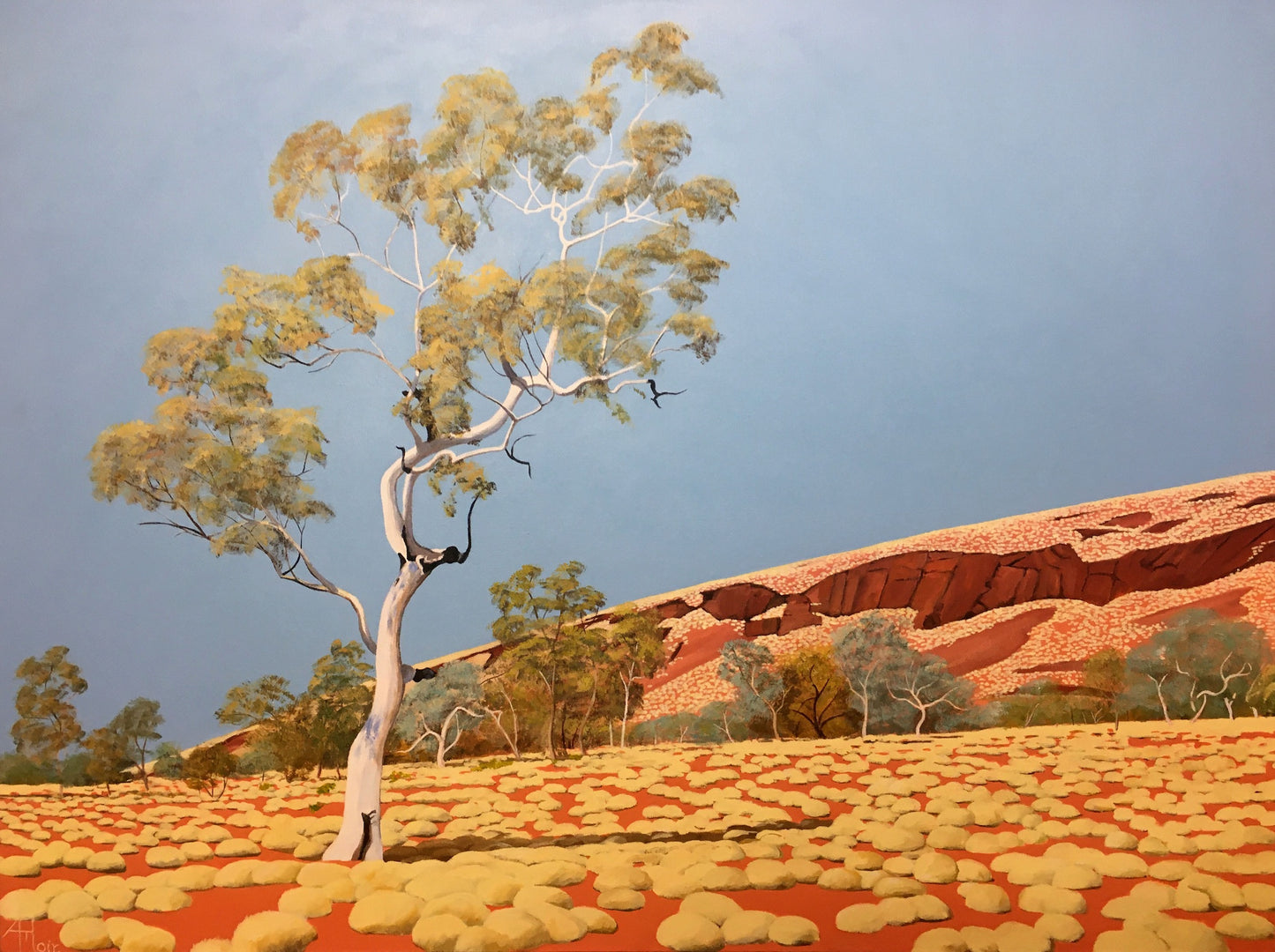 Karijini Snappy Gum 3