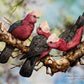 Australian Galahs, Pretty in Pink