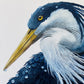 Is That All There Is? Pied Heron