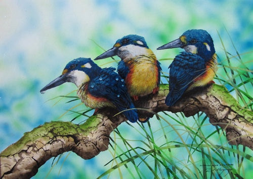 The Three Stooges, Azure Kingfishers