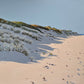 Dune Shadows no.7