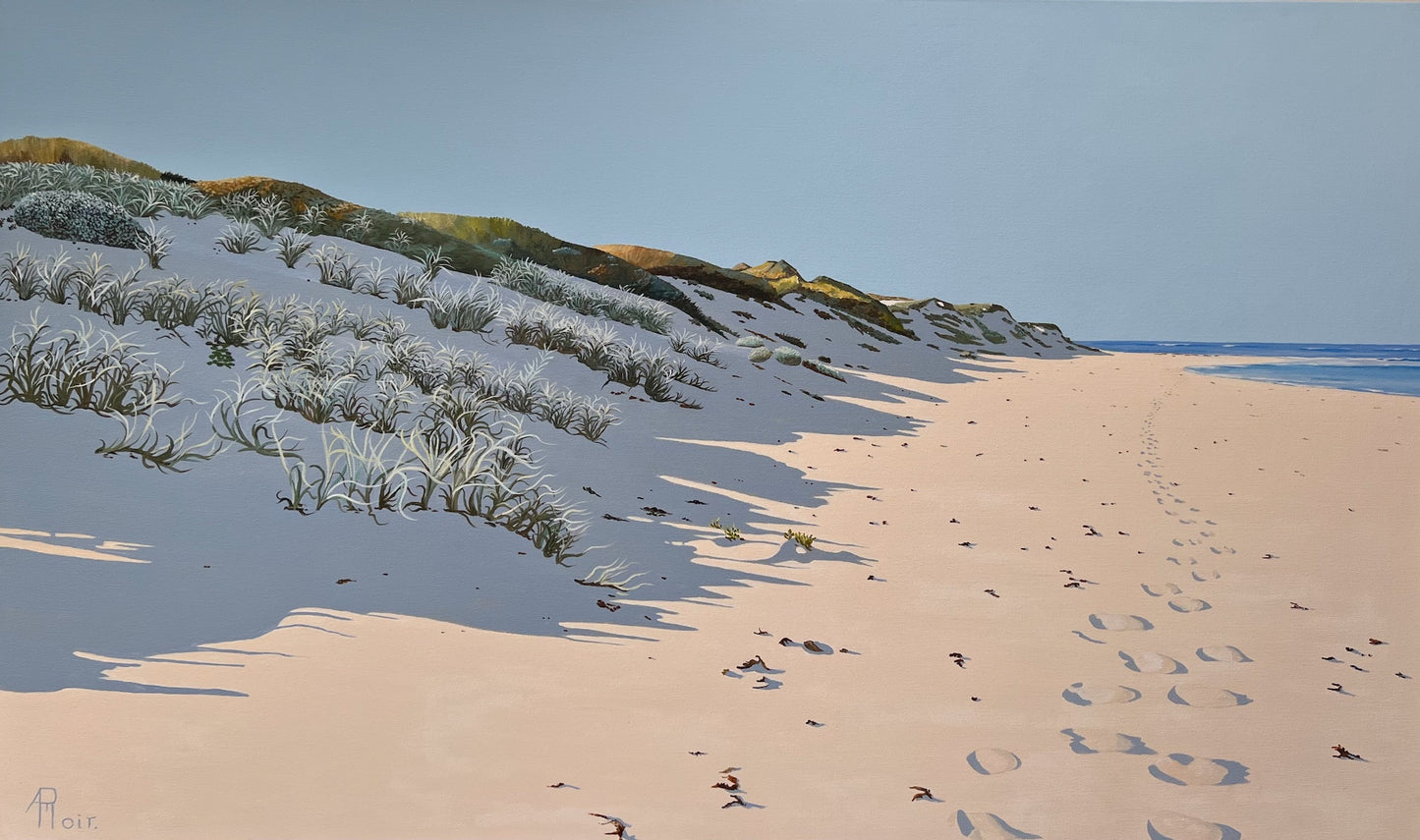 Dune Shadows no.7