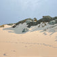 Dune Shadows North of Rivermouth