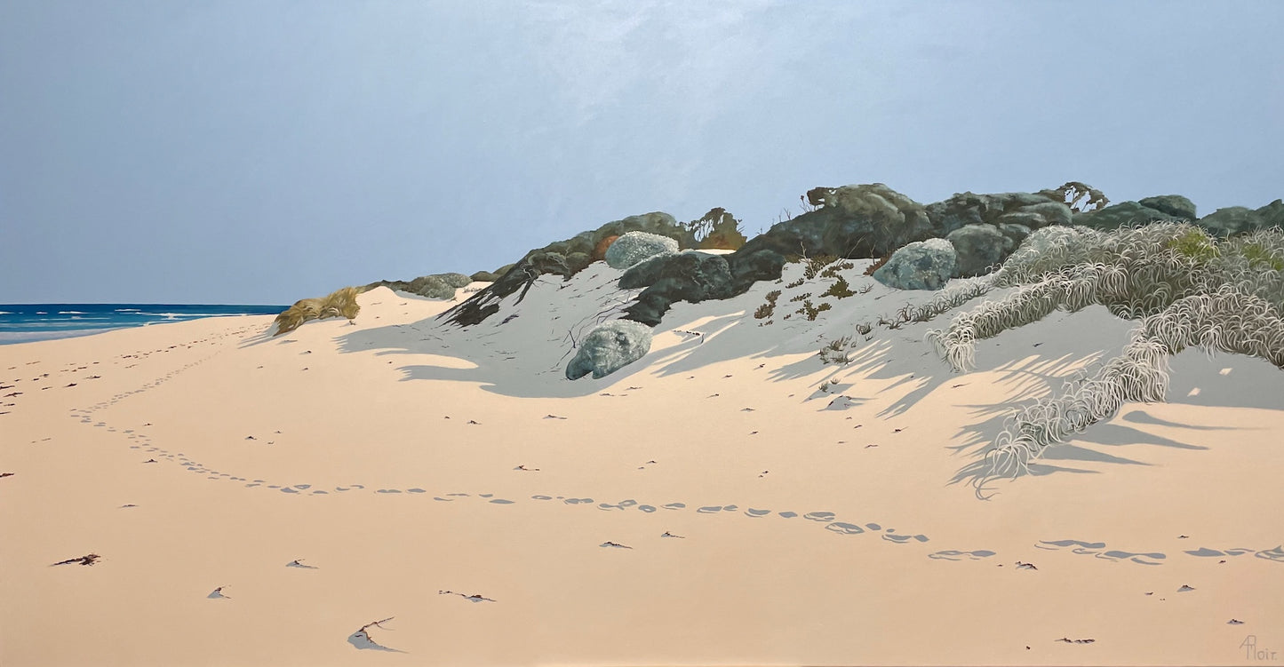 Dune Shadows North of Rivermouth