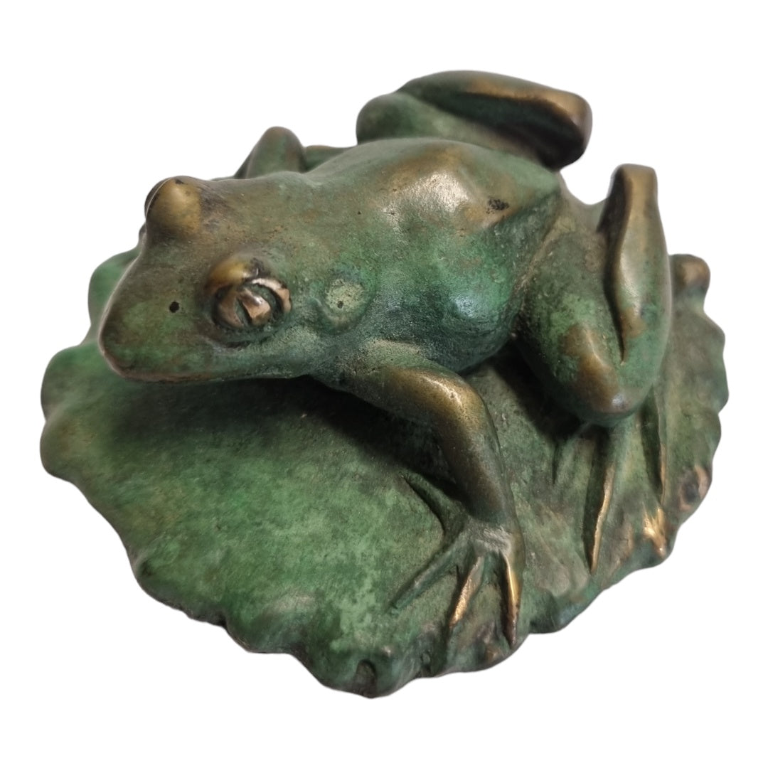Frog with Fly - Exhibition Nov 2023