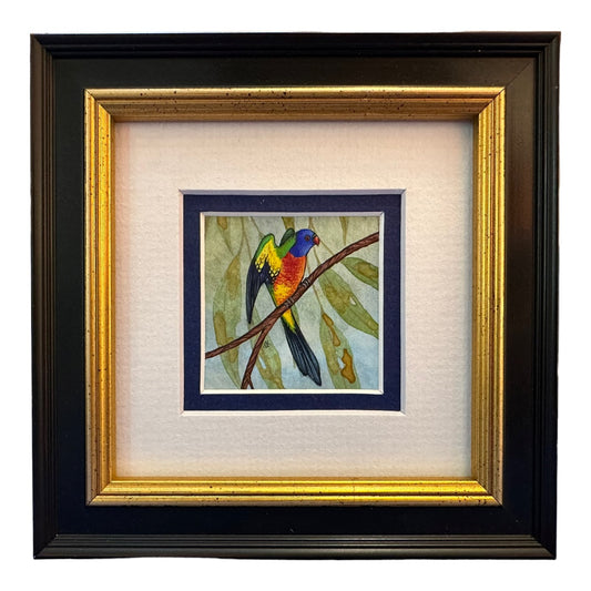 Rainbow Lorikeet B