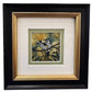 New Holland Honeyeater - Pair