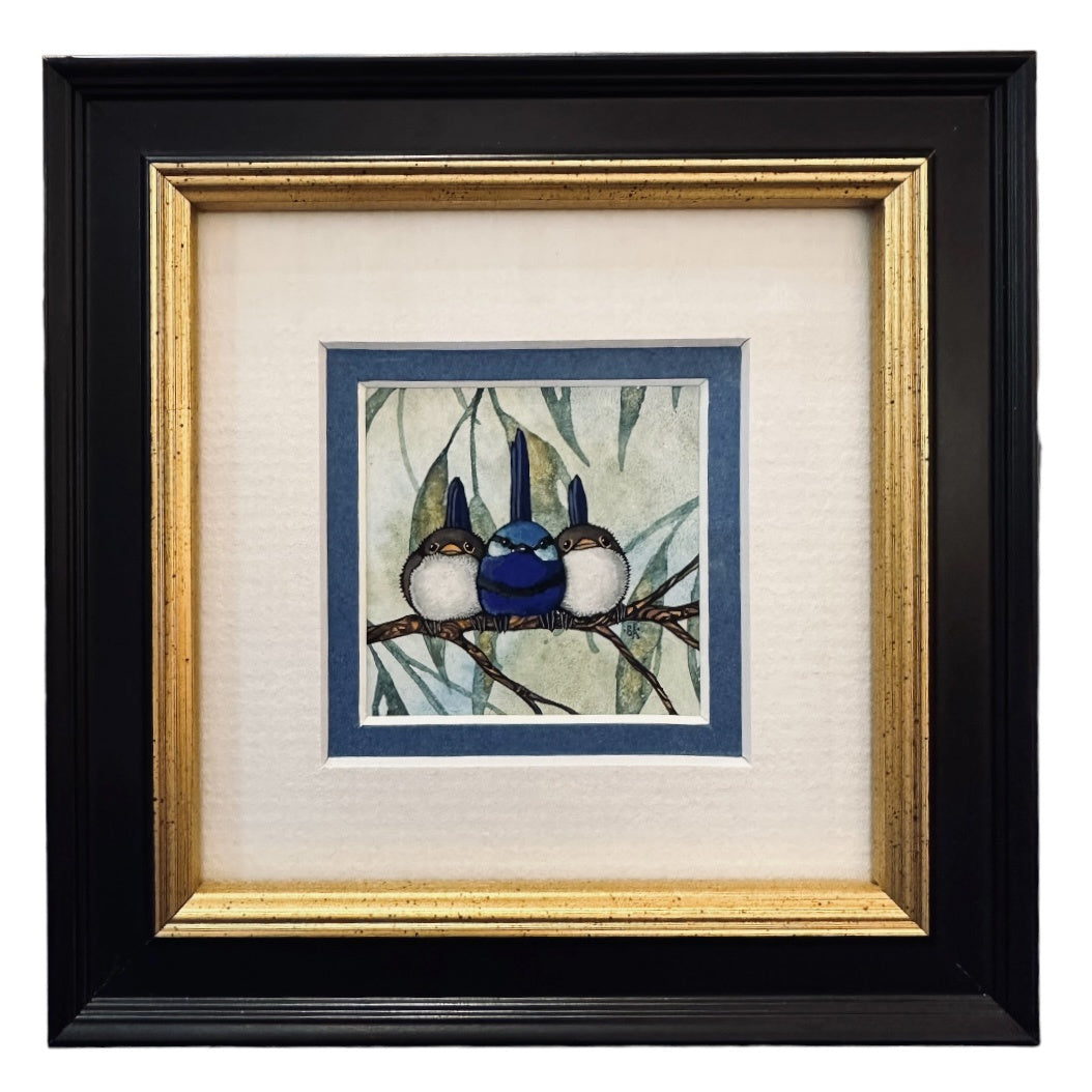 Splendid Fairy Wren - Three A
