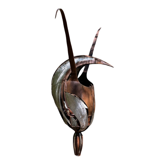 Hatonii - Brown Vein Shell Orchid