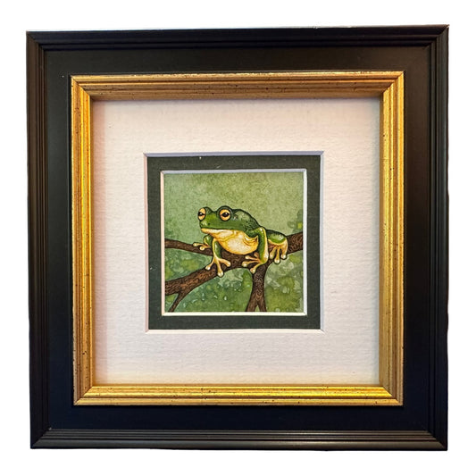 Green Tree Frog B