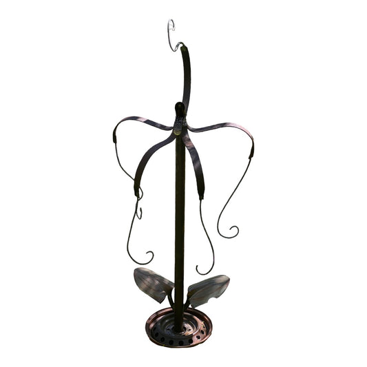 Spider Orchid