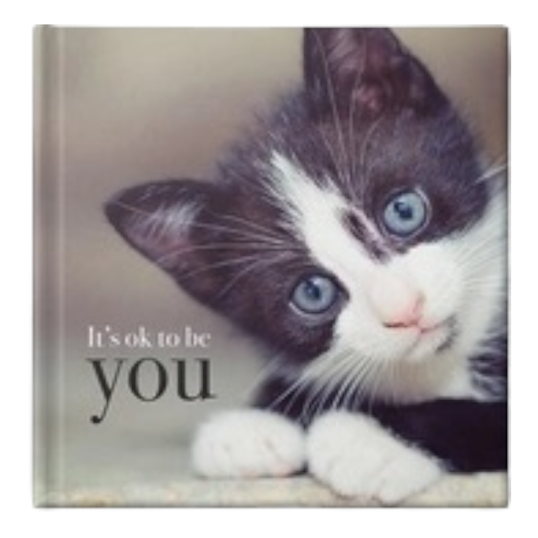 It's OK to be You