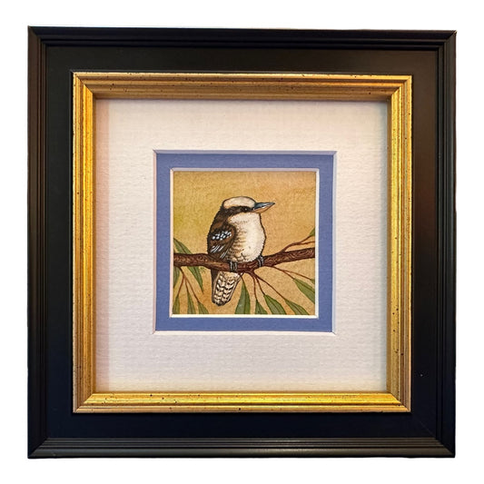 Kookaburra