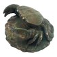 Crab with Limpet and Starfish