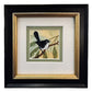 Willy Wagtail A