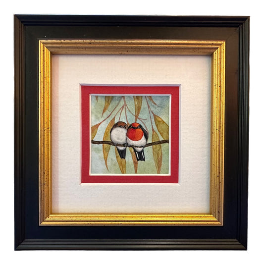 Red Capped Robin B