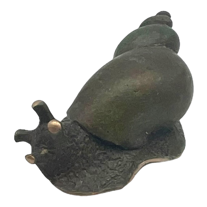 Sea Snail