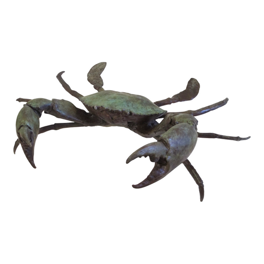 Mud Crab