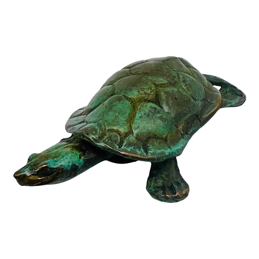 Turtle Walking 14/50