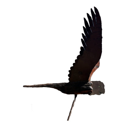Goliath Cockatoo on the Move Series