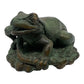 Frog with Worm