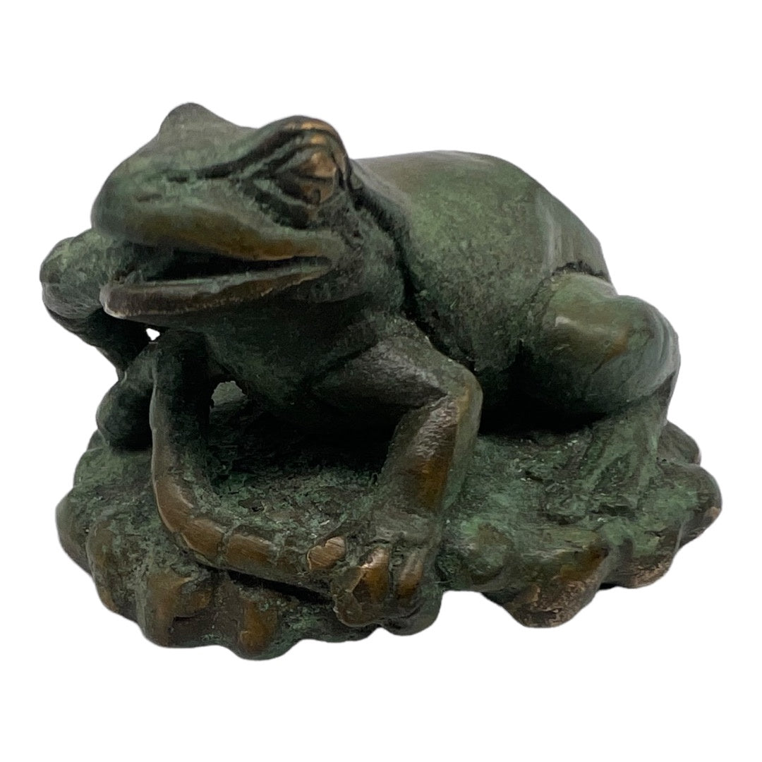 Frog with Worm