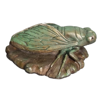 Cicada  - Exhibition Nov 2023