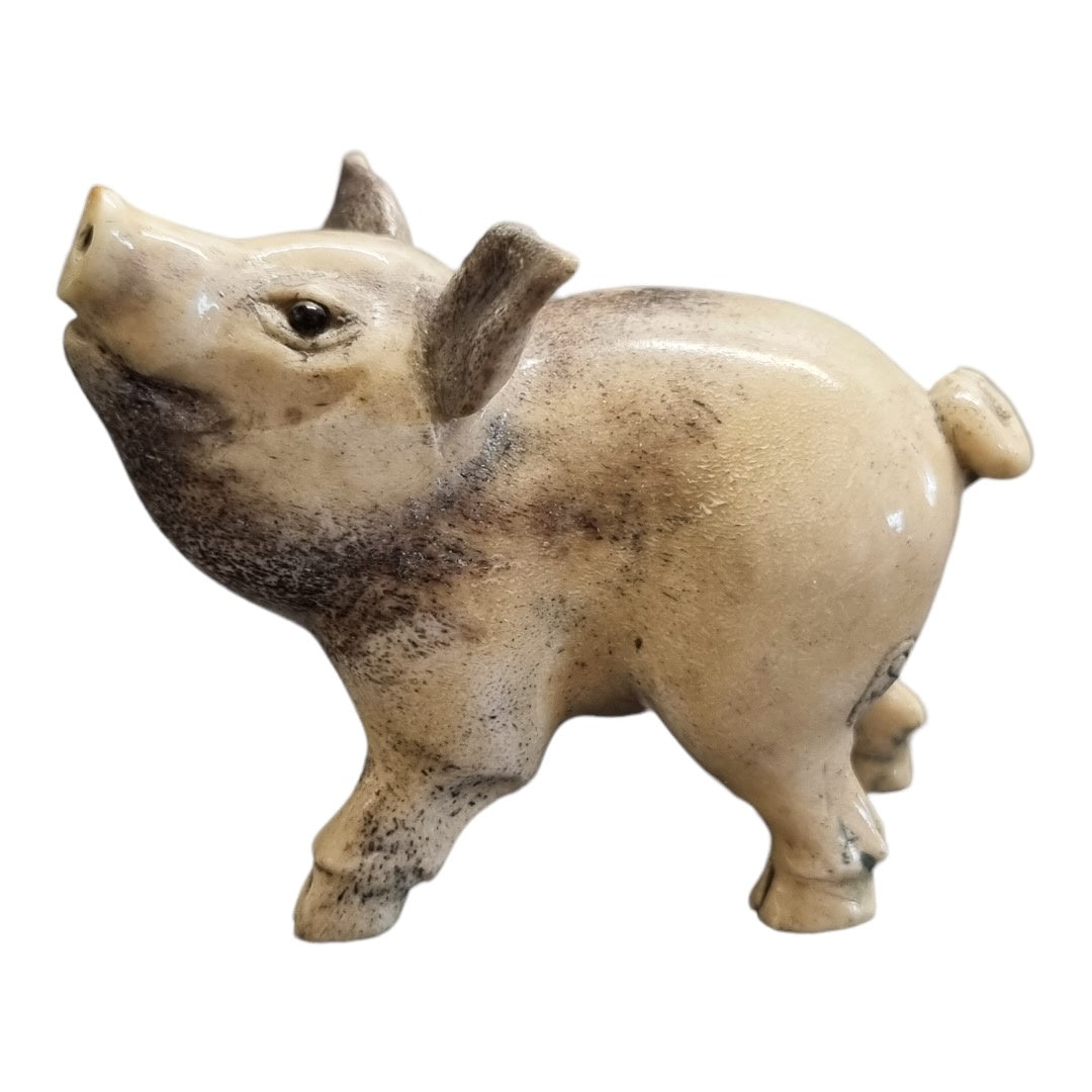 Curious Pig - Exhibition Nov 2023