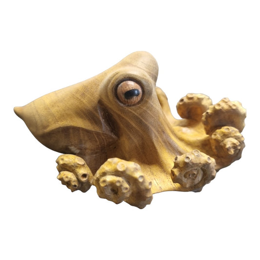 Octopus - Exhibition Nov 2023