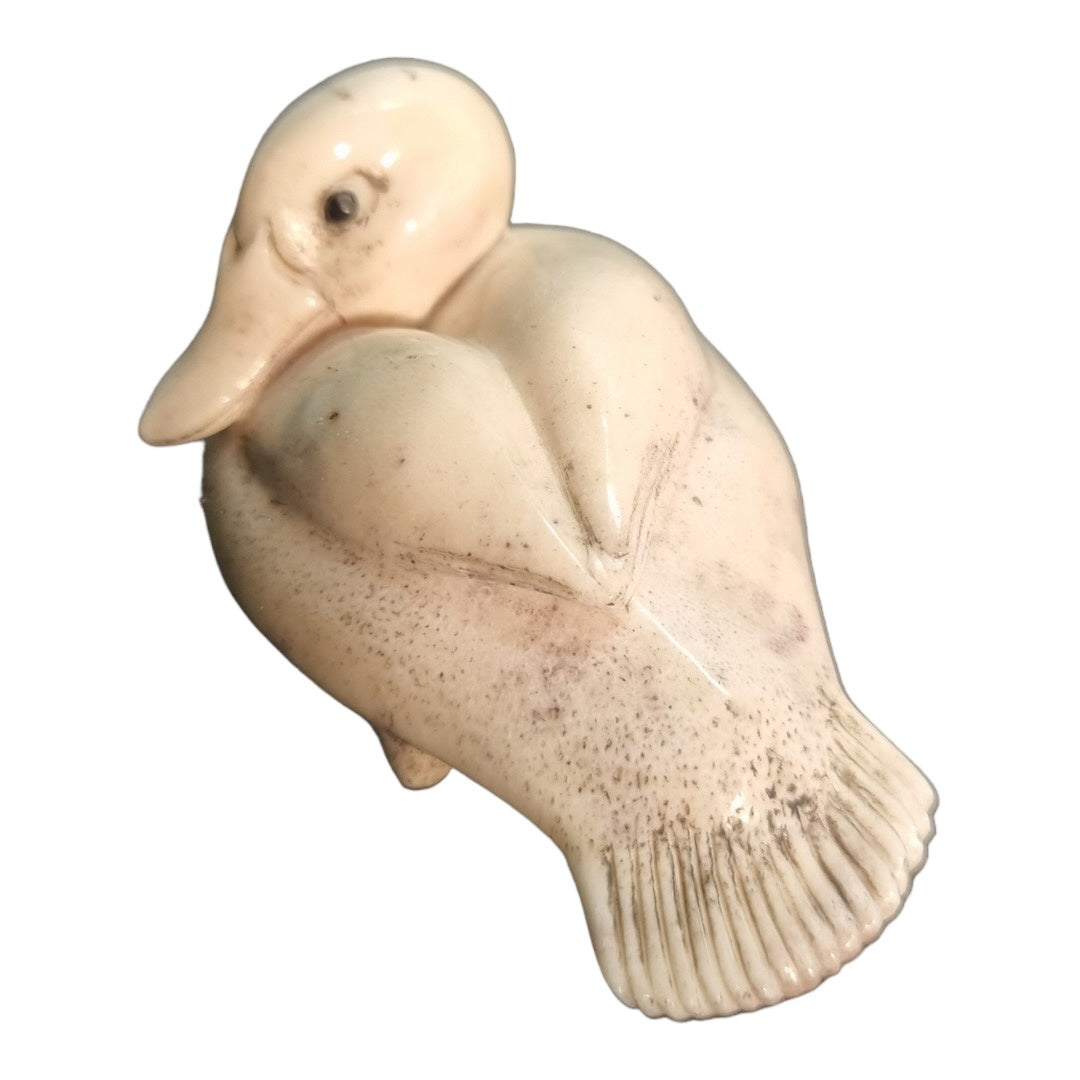 Blue Bill Duck -  Exhibition Nov 2023