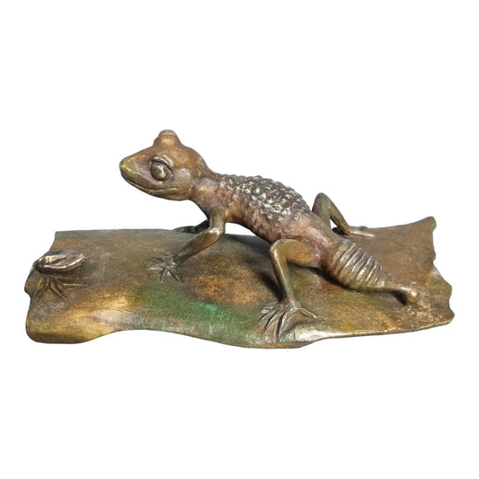 Knob Tailed Gecko  - Exhibition Nov 2023