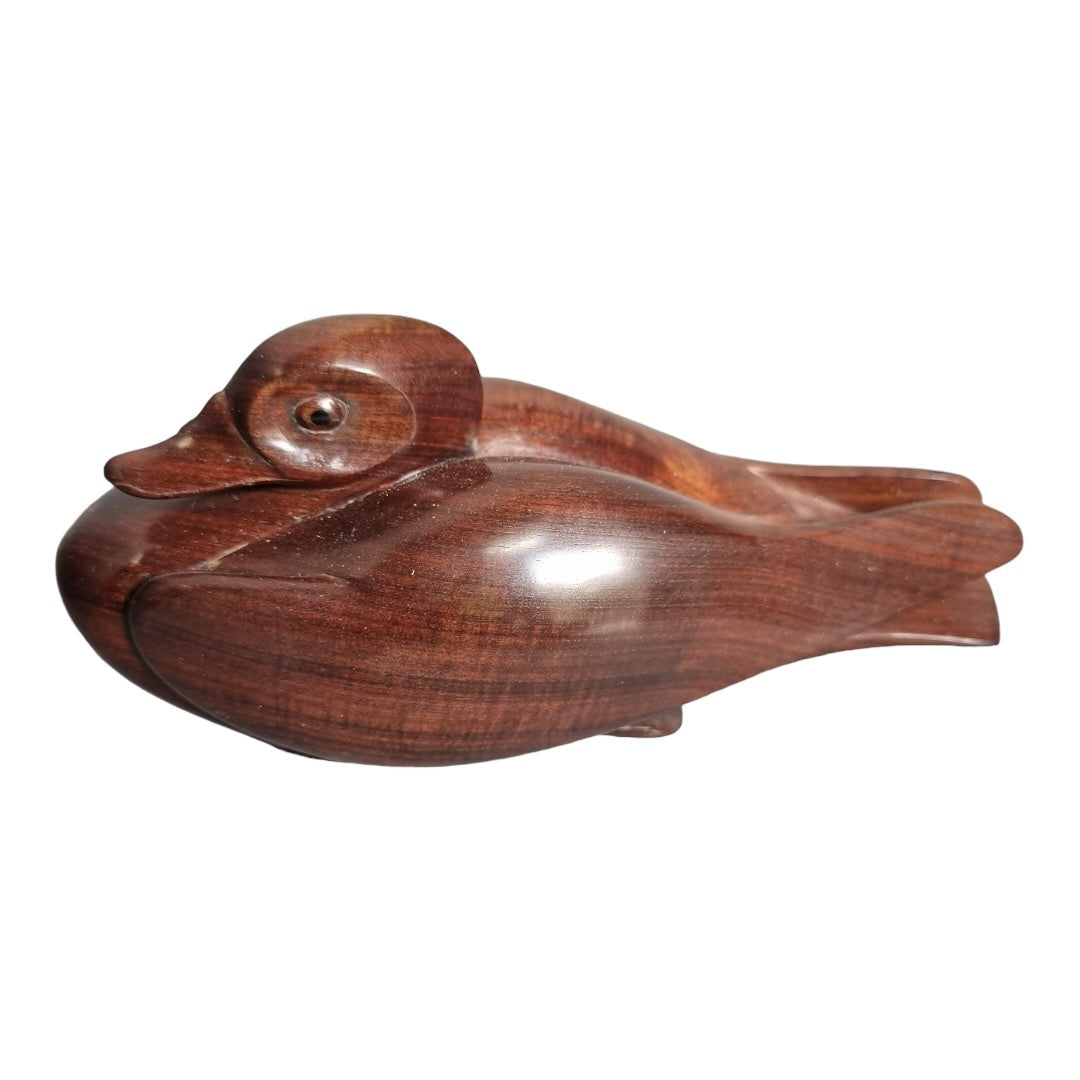 Duck, Desert Acacia - Exhibition Nov 2023
