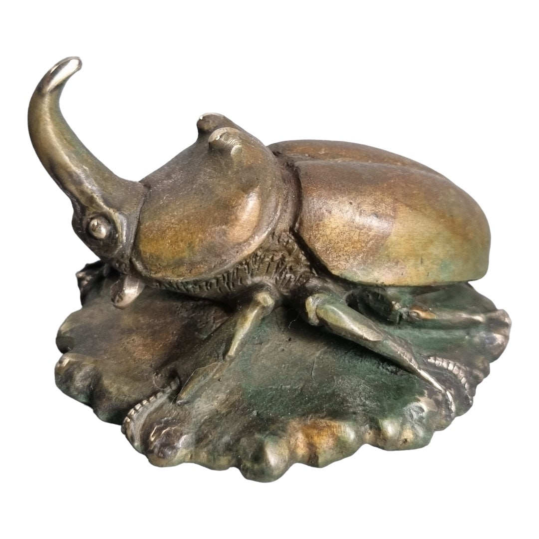 Smooth Rhino Beetle  - Exhibition Nov 2023