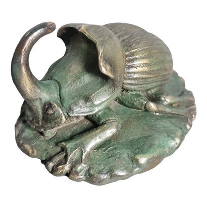 Ribbed Rhinoceros Beetle  - Exhibition Nov 2023