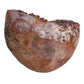 Small Pink Sagger Pot