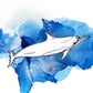 Your Eyes on the Ocean, Spinner Dolphin