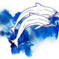 Your Eyes on the Ocean, Spinner Dolphins