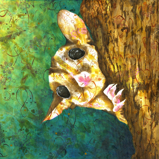 Sugar Glider 5/100