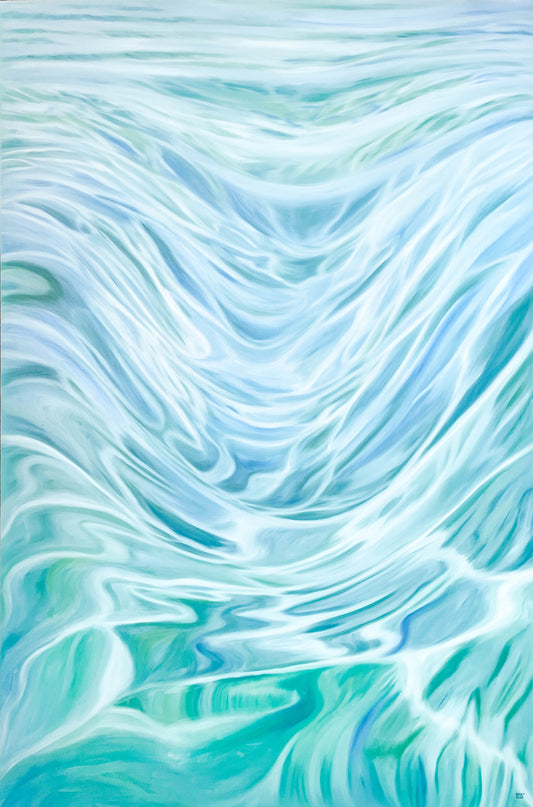 Shallows