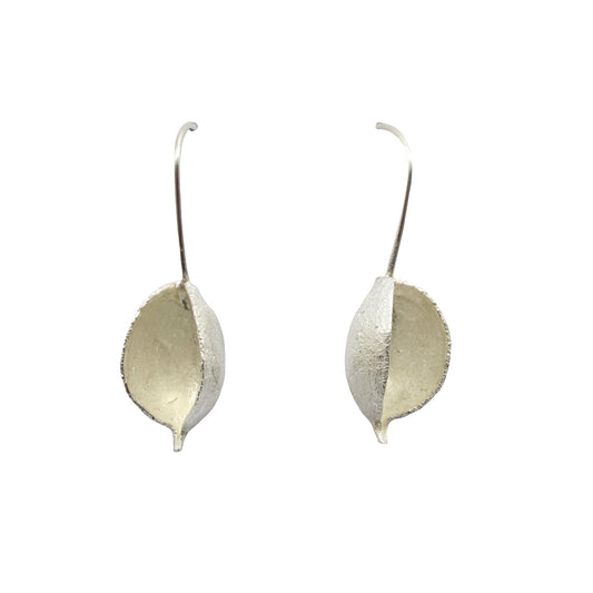 Earrings, Grevillia Seed Pods