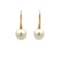 Earrings - 10-11mm Australian South Sea Cultured Pearl with 18kt Yellow Gold Hooks