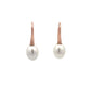 Earrings - 10-11mm Australian South Sea Cultured Pearl with 9kt Rose Gold Hooks